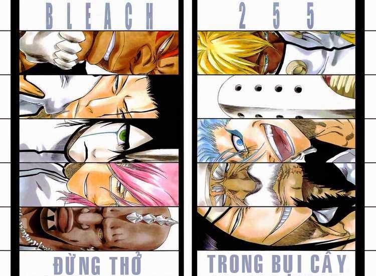 Thần Chết Ichigo - Chương 255