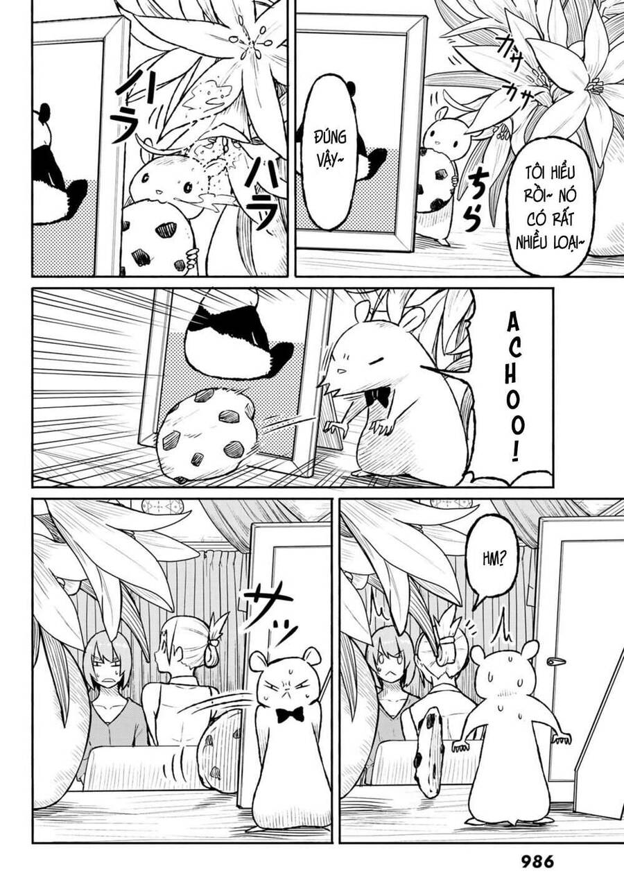 Flying Witch - Chương 49