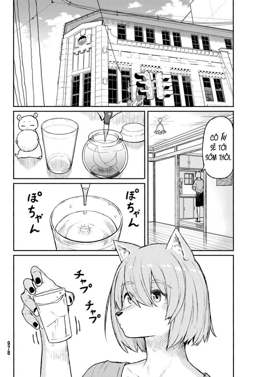 Flying Witch - Chương 49