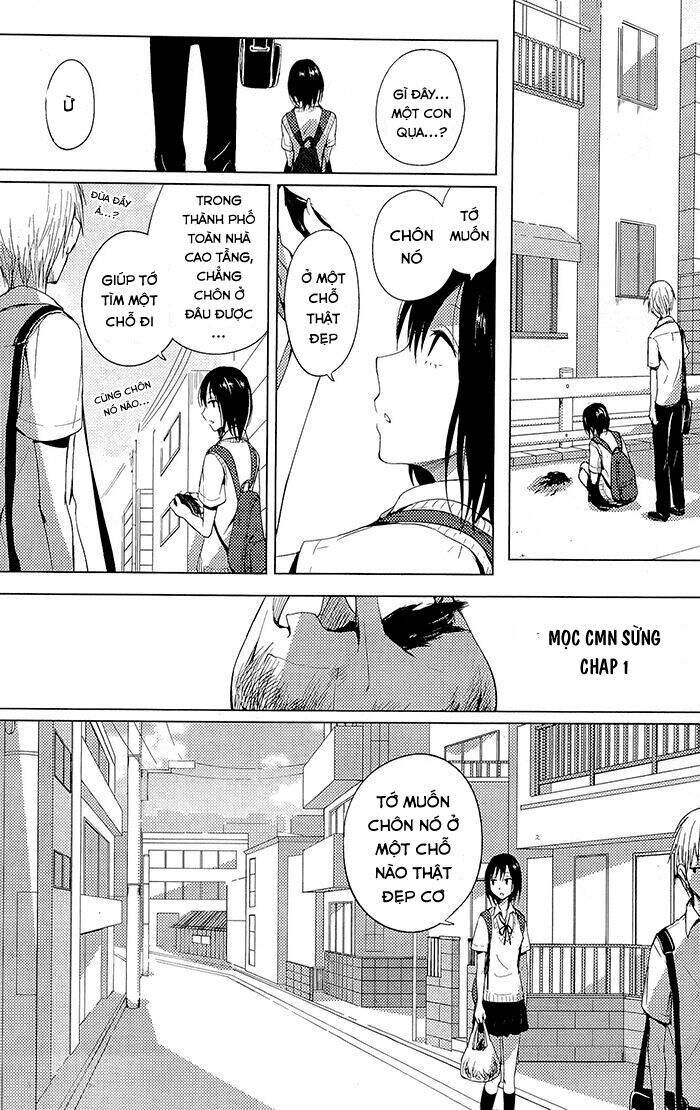 World Gaze Clips - Chương 4