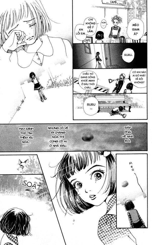 Last Quarter - Chương 2