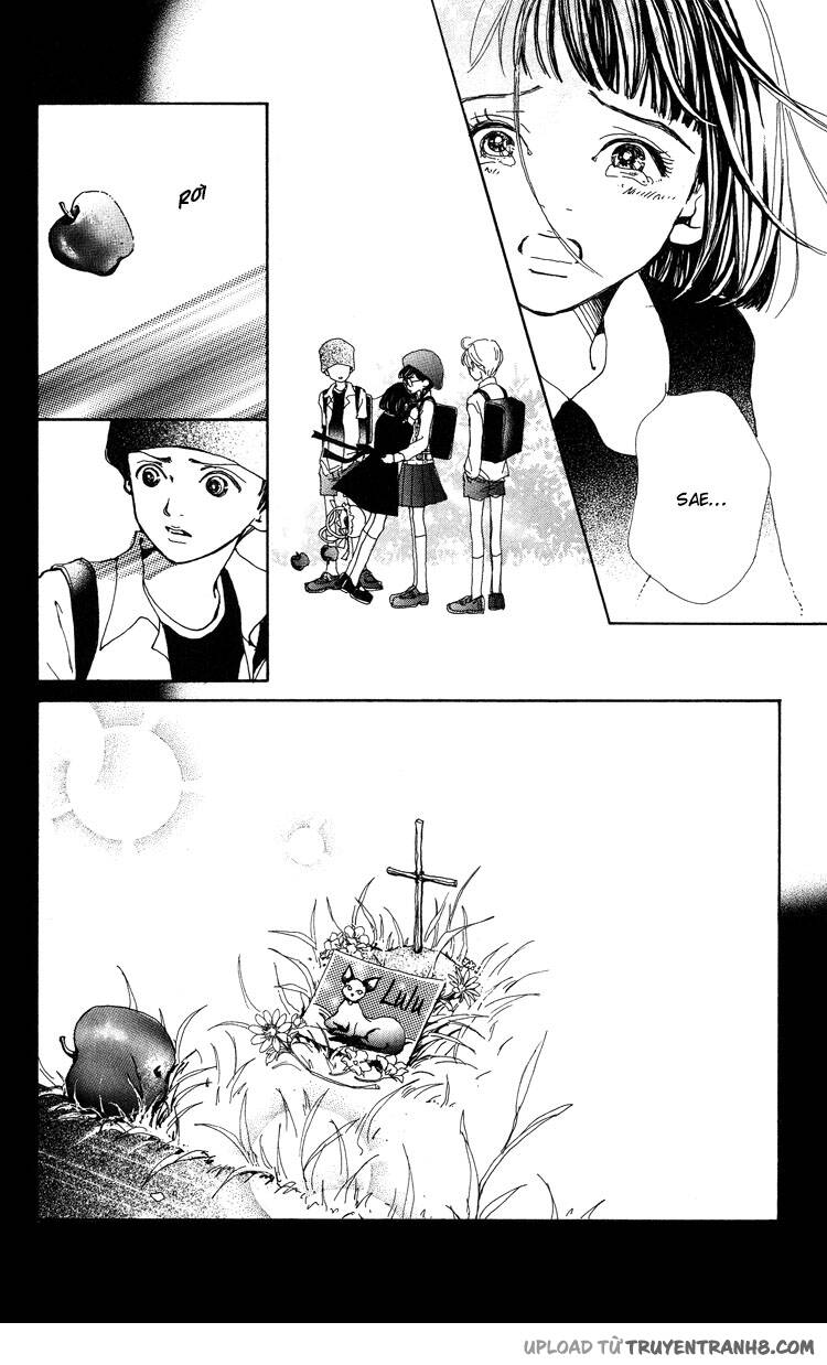 Last Quarter - Chương 6