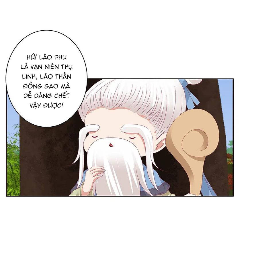 Thông Linh Phi - Chương 657