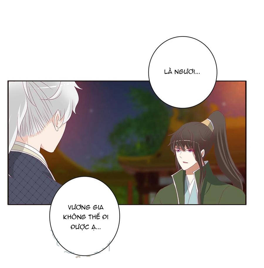 Thông Linh Phi - Chương 660