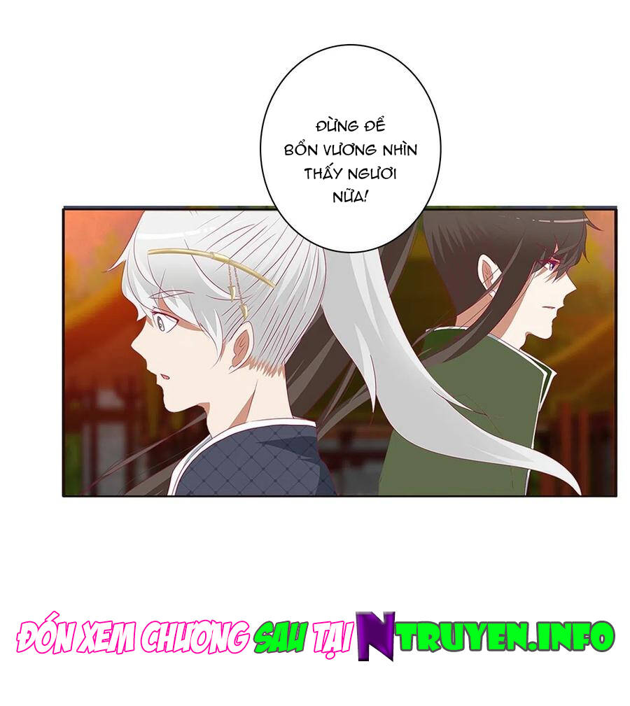 Thông Linh Phi - Chương 660