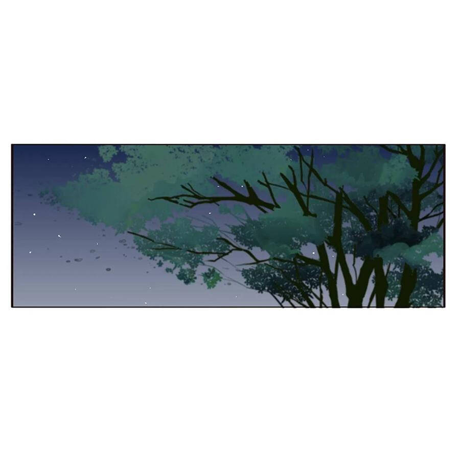 Thông Linh Phi - Chương 661