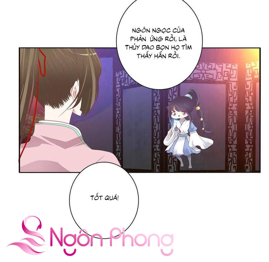 Thông Linh Phi - Chương 663