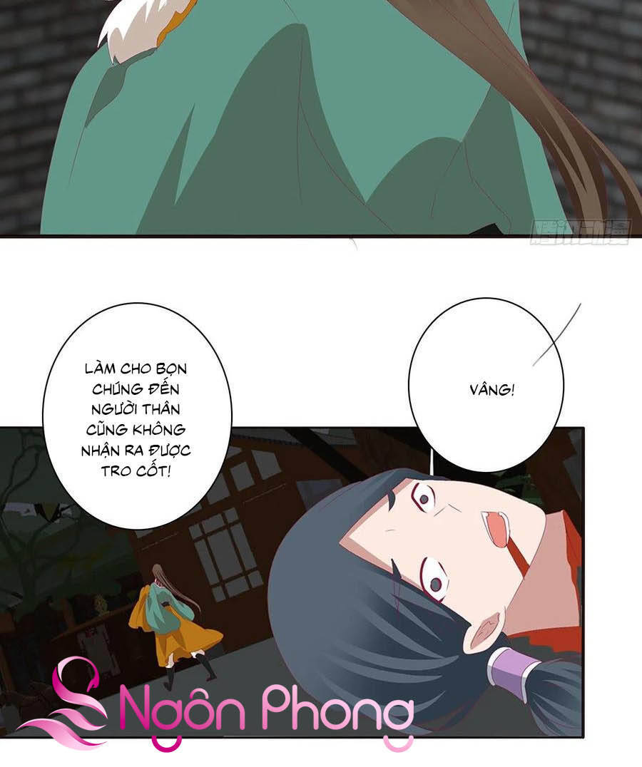 Thông Linh Phi - Chương 664