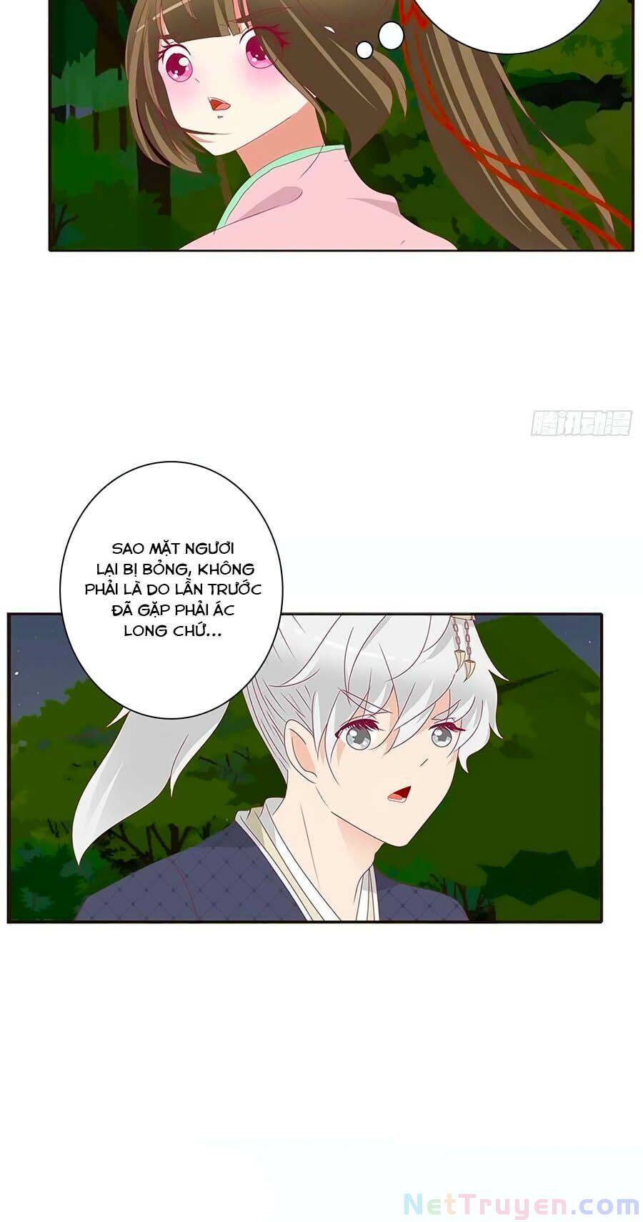 Thông Linh Phi - Chương 668