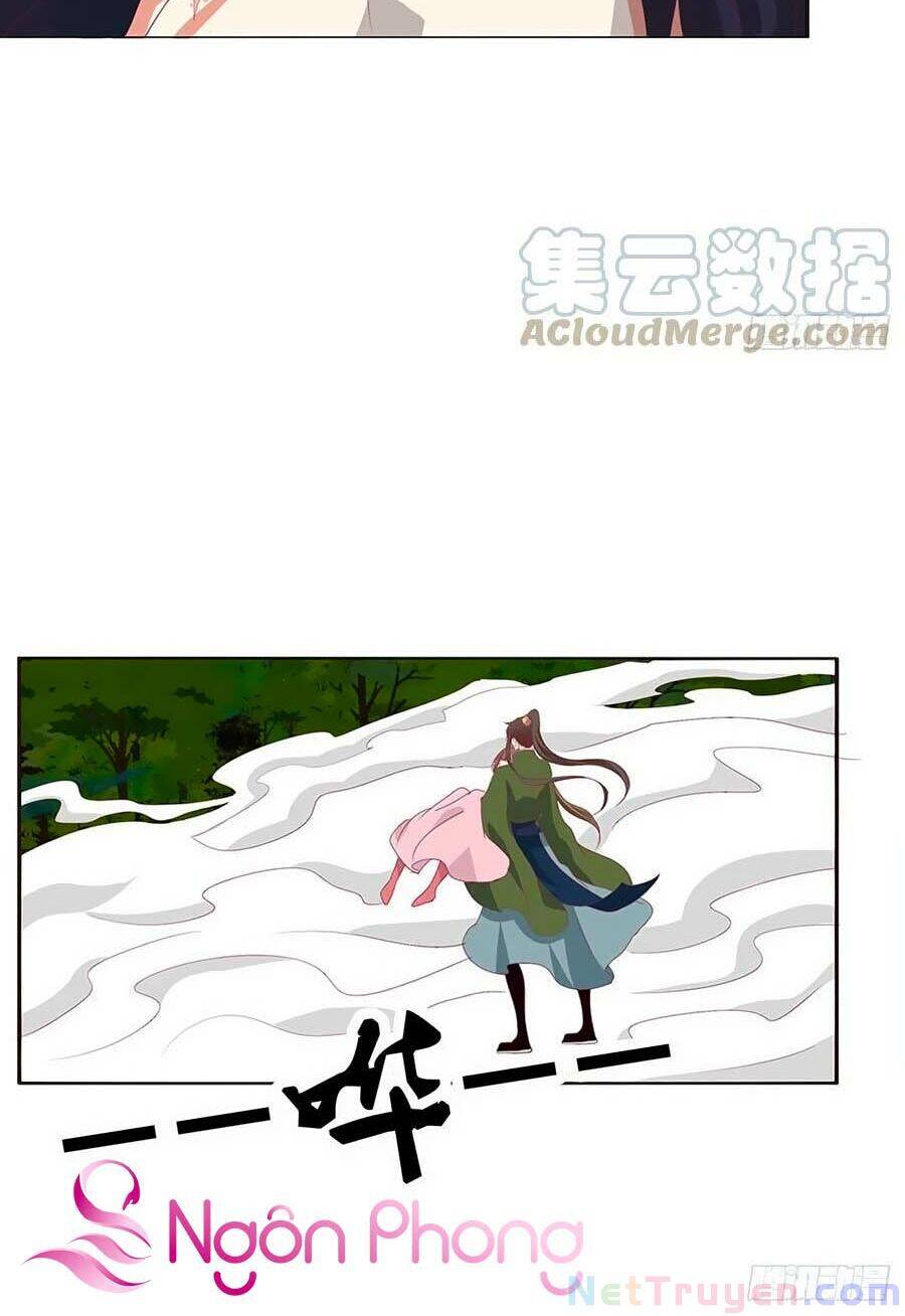 Thông Linh Phi - Chương 668