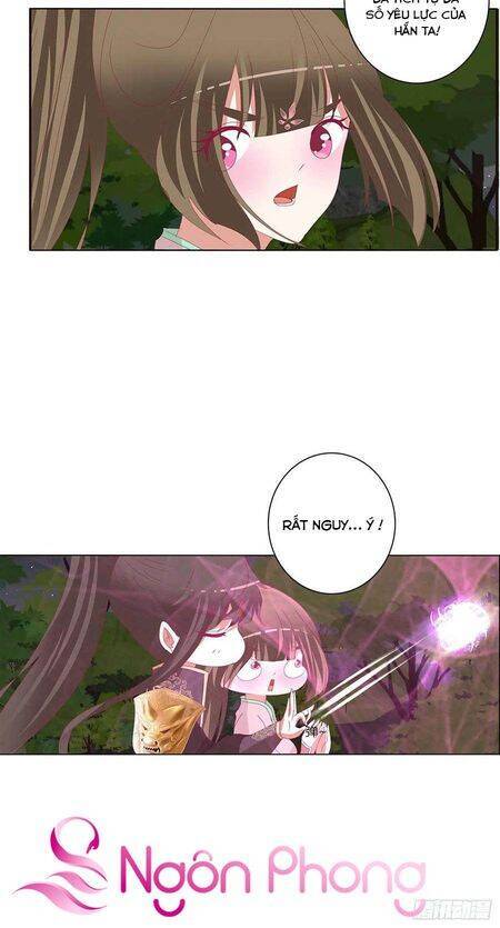 Thông Linh Phi - Chương 669