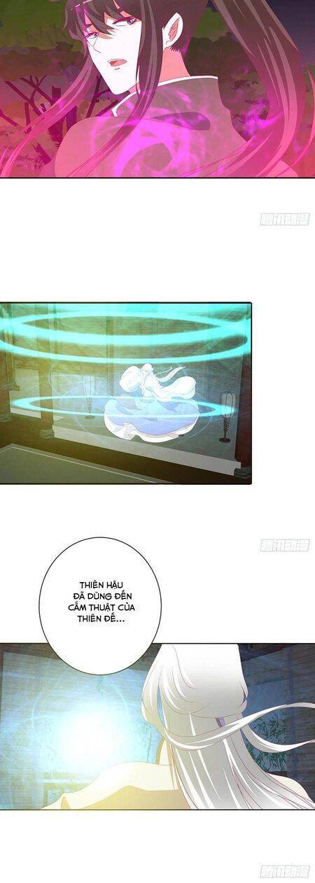 Thông Linh Phi - Chương 669