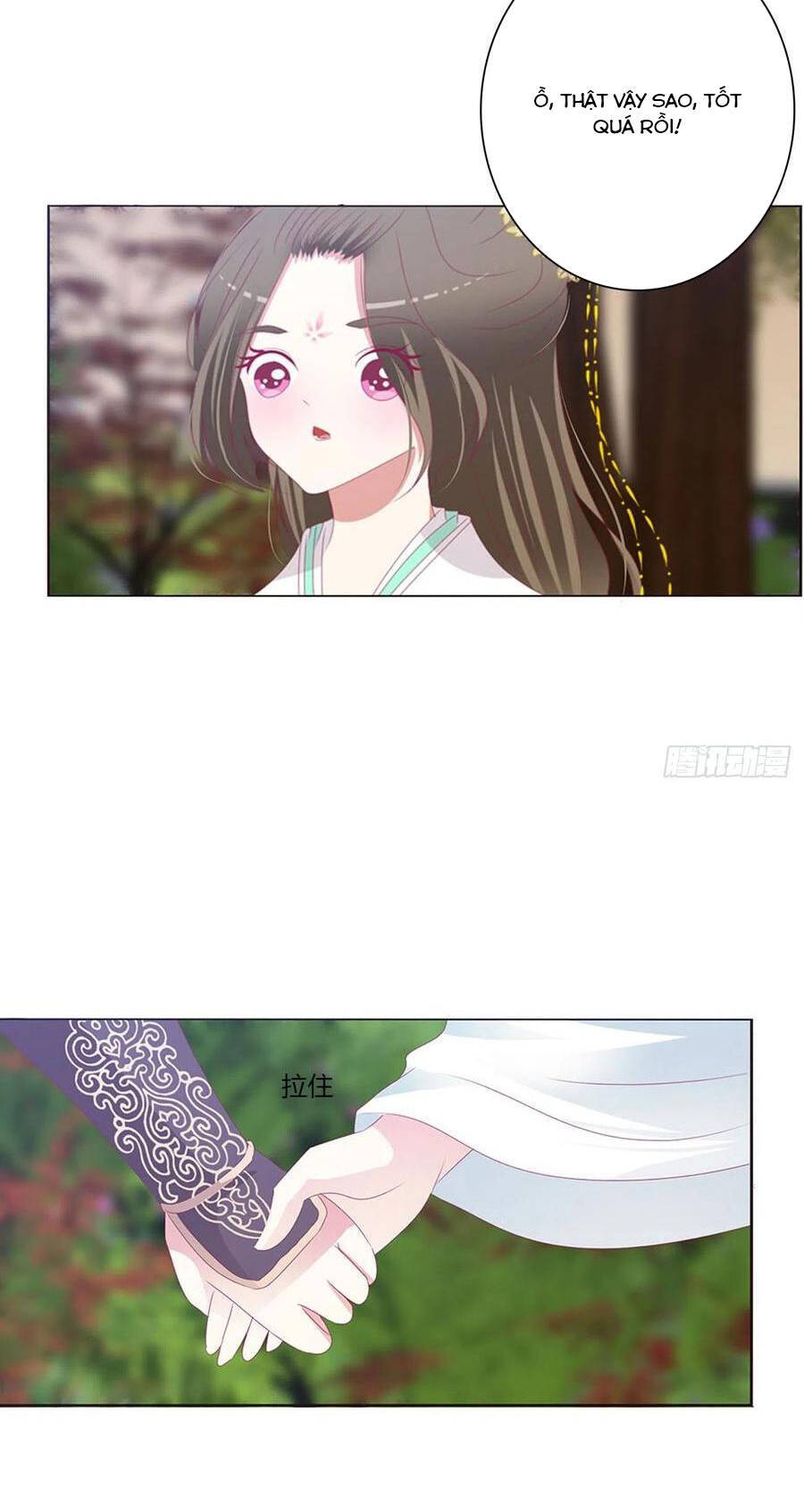 Thông Linh Phi - Chương 679