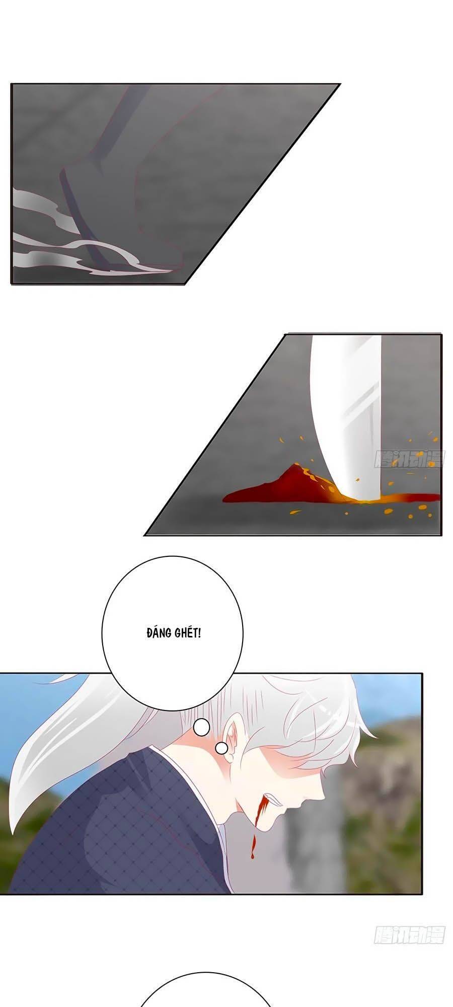 Thông Linh Phi - Chương 681