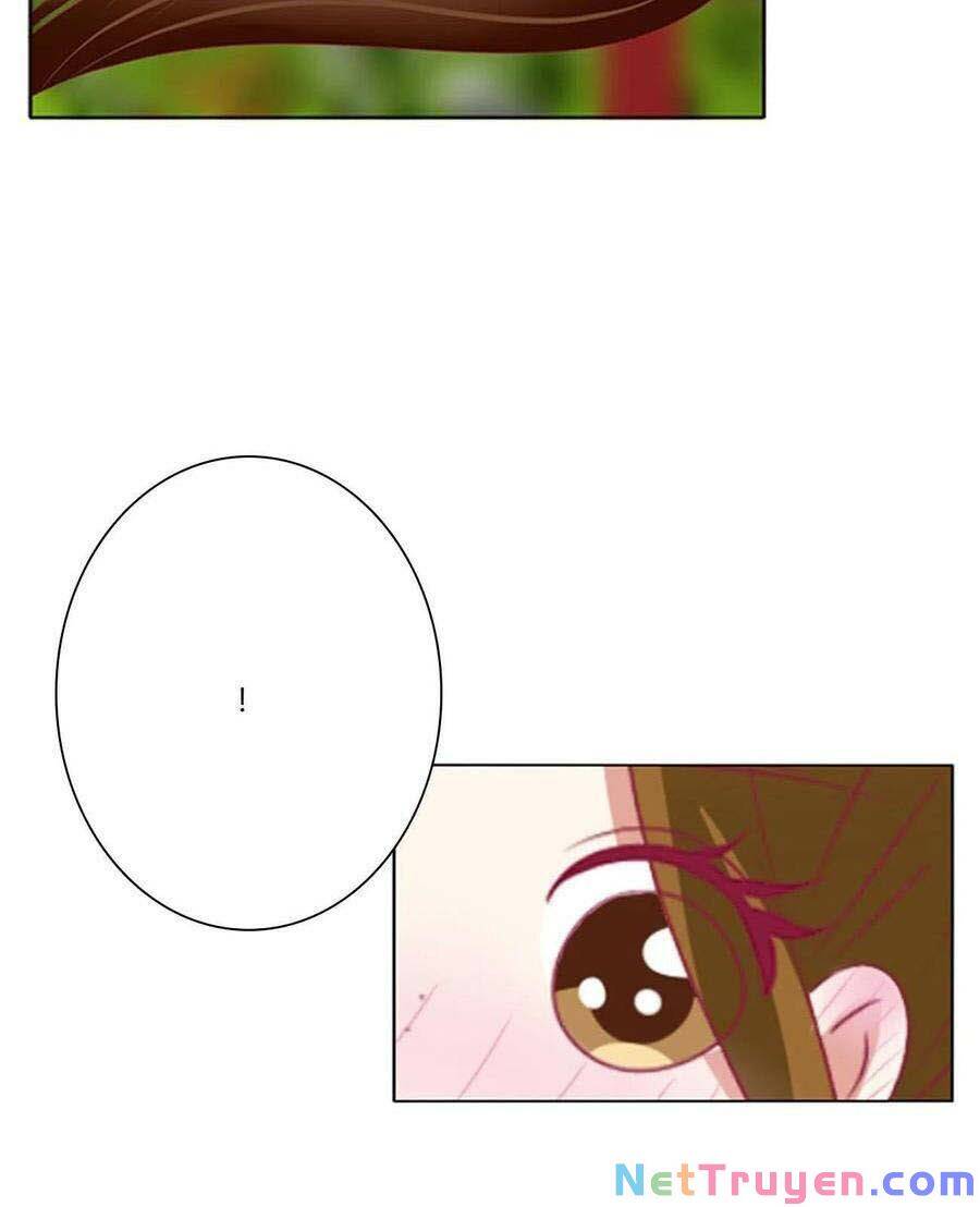 Thông Linh Phi - Chương 693