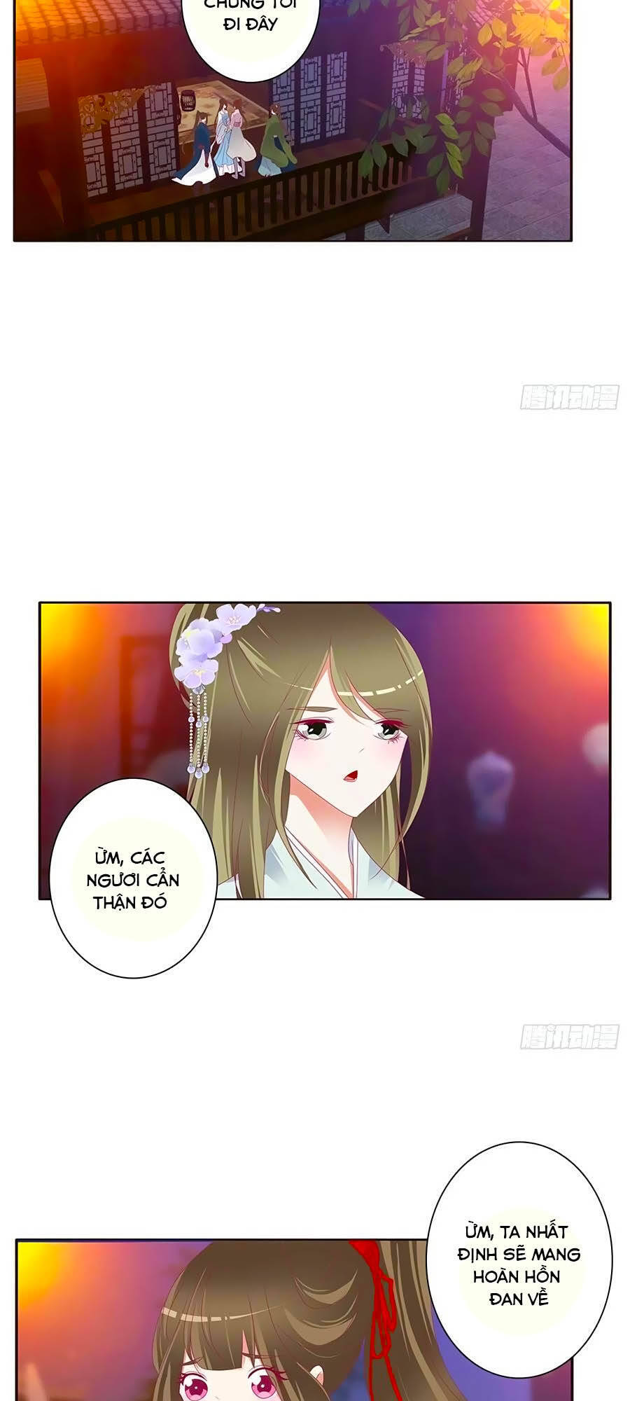 Thông Linh Phi - Chương 665