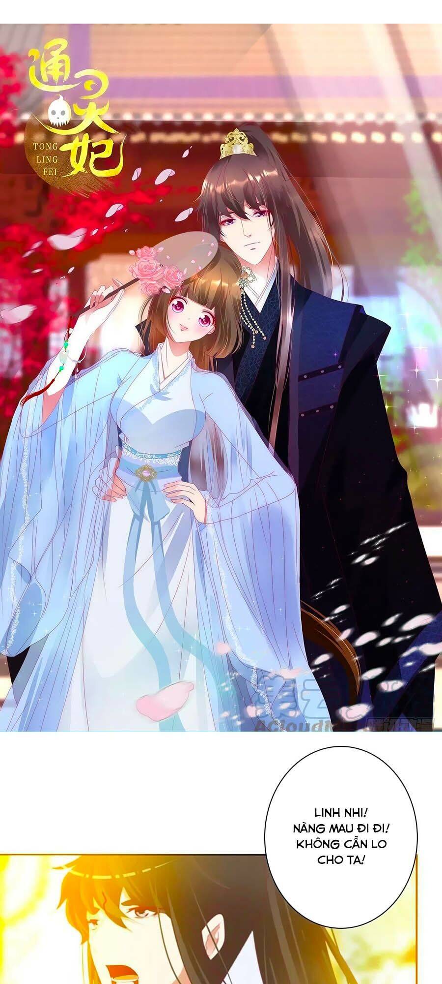 Thông Linh Phi - Chương 684