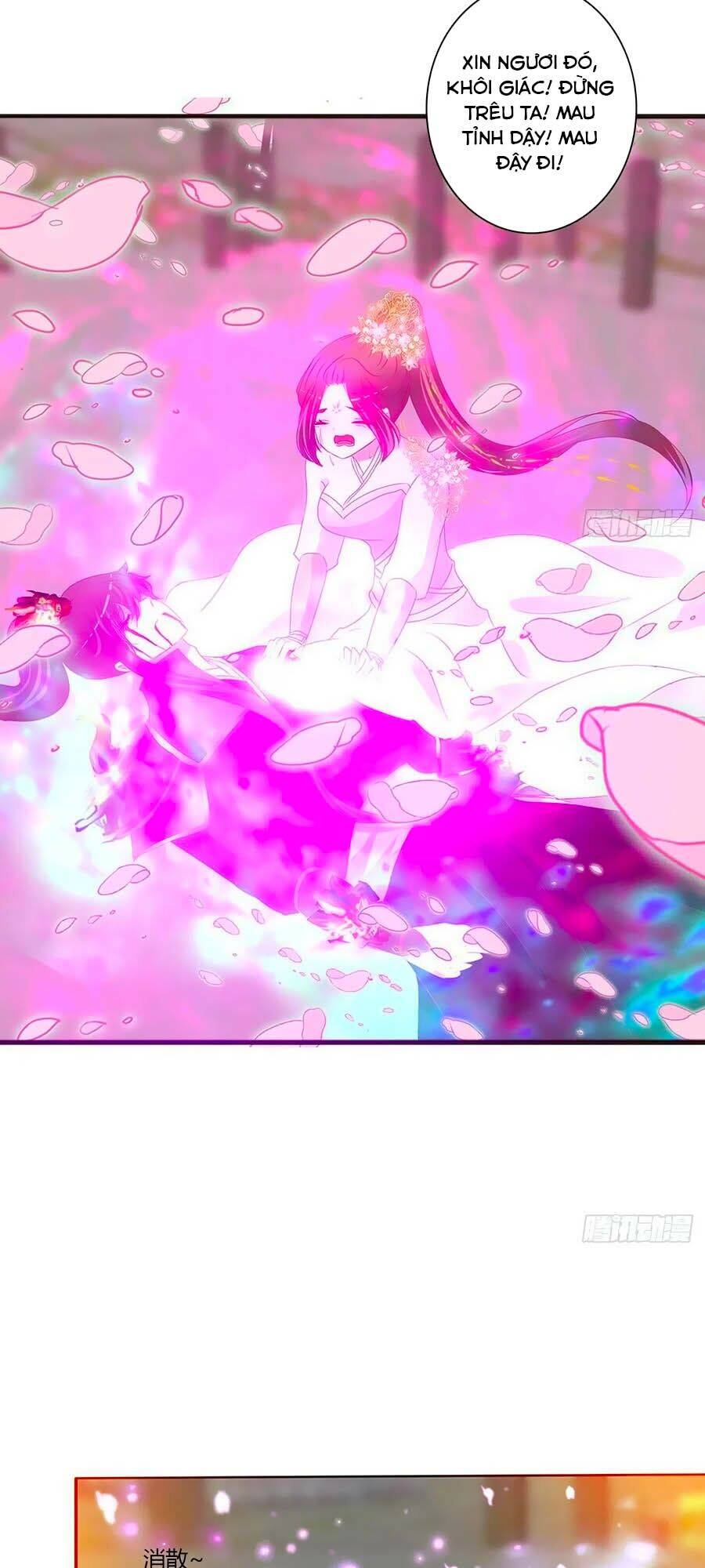 Thông Linh Phi - Chương 684