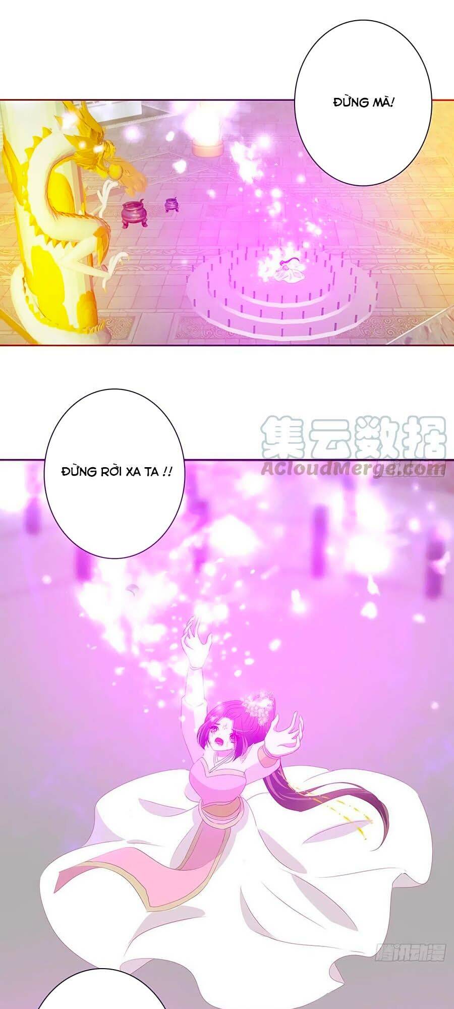 Thông Linh Phi - Chương 684