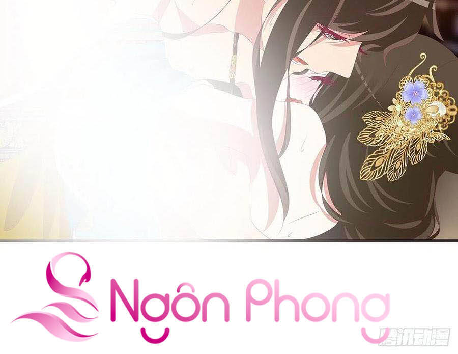 Thông Linh Phi - Chương 697