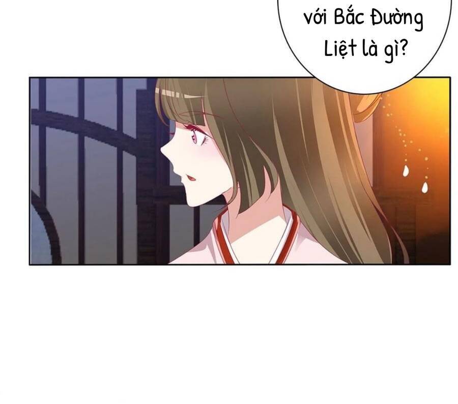 Thông Linh Phi - Chương 718