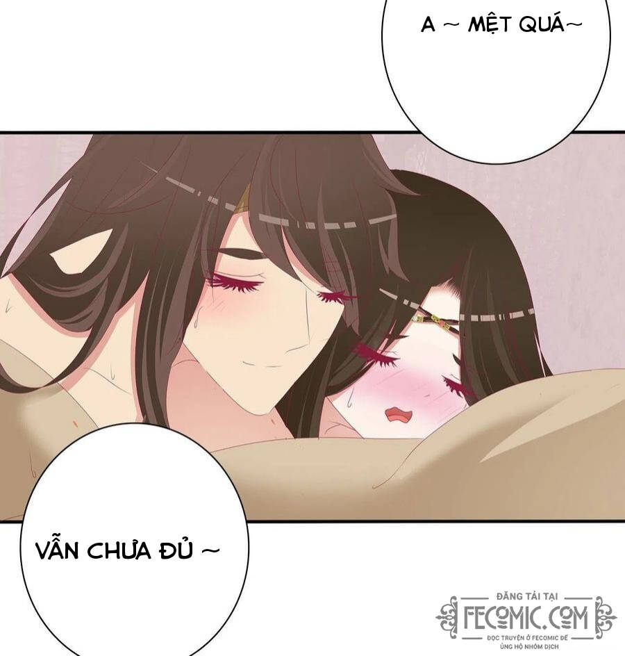 Thông Linh Phi - Chương 720