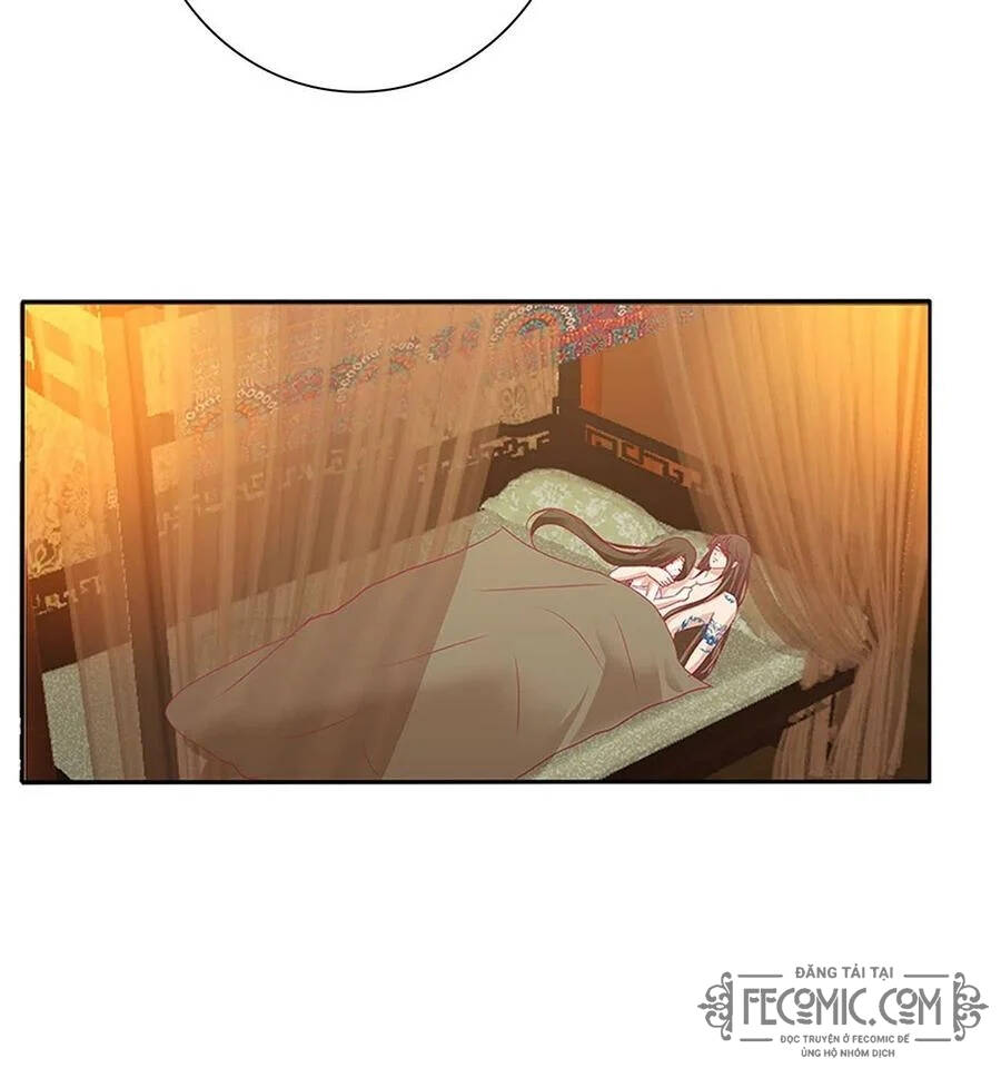 Thông Linh Phi - Chương 720