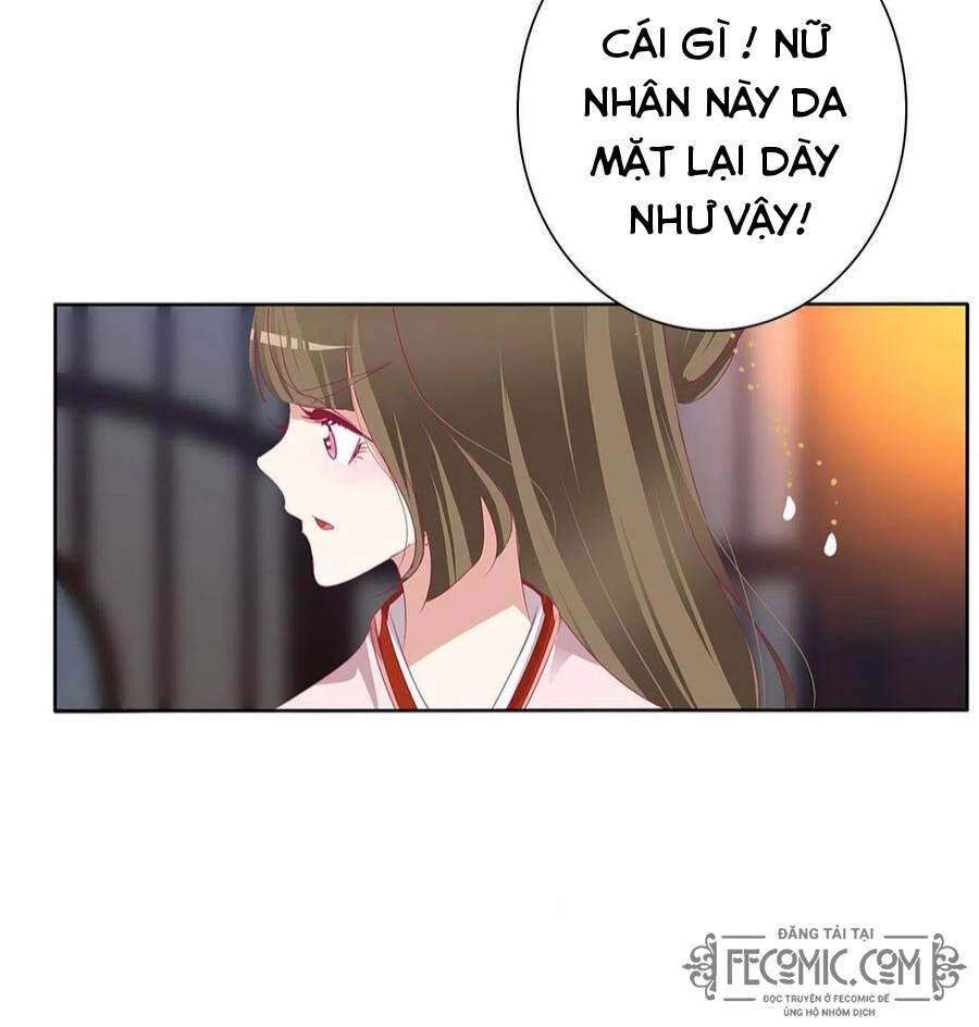 Thông Linh Phi - Chương 720