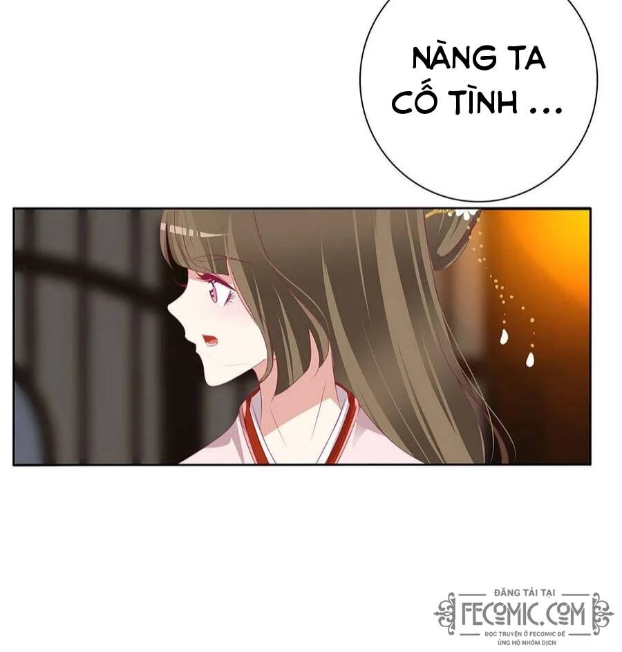 Thông Linh Phi - Chương 722