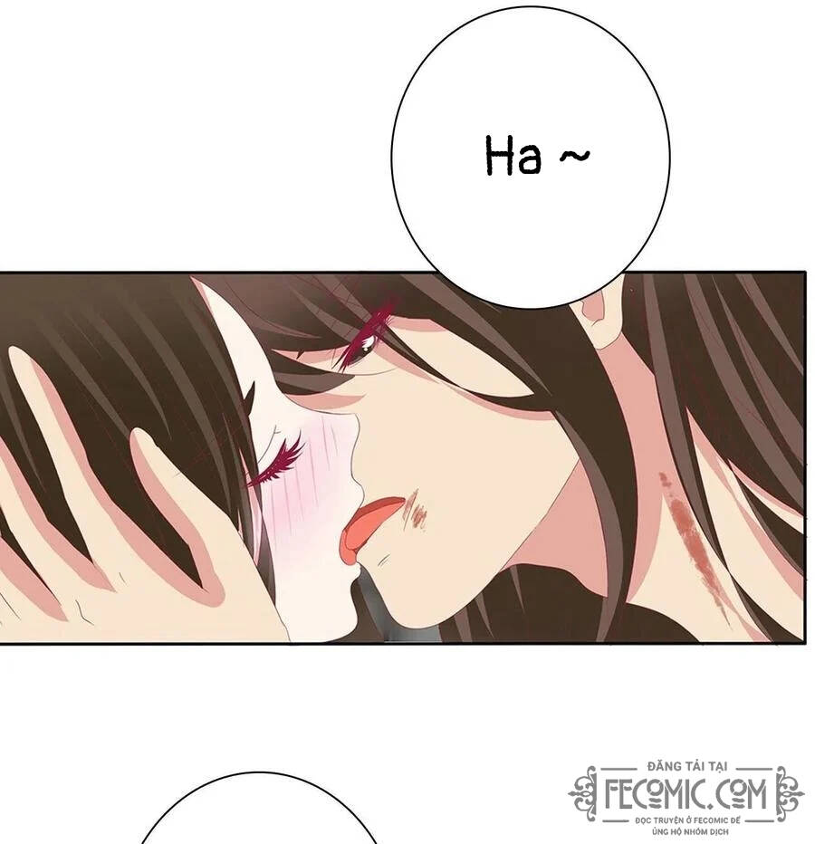 Thông Linh Phi - Chương 726