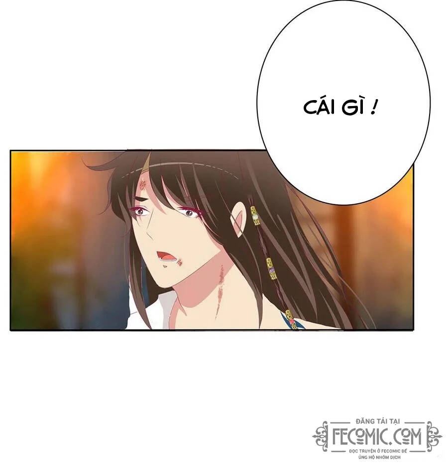 Thông Linh Phi - Chương 726