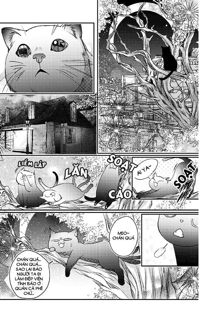 Scarlet Cross - Chương 14