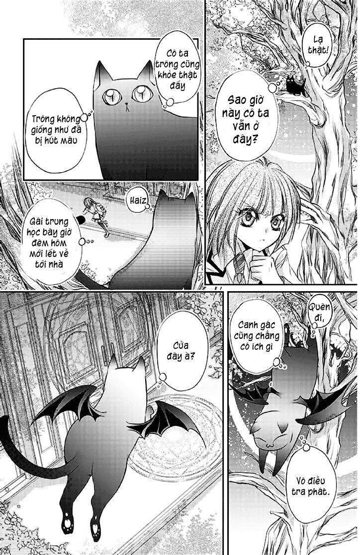 Scarlet Cross - Chương 14