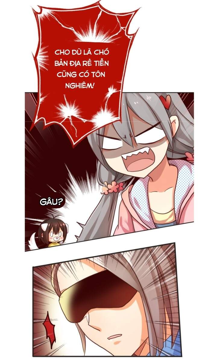 Thiên Chương Kỳ Đàm - Chương 8