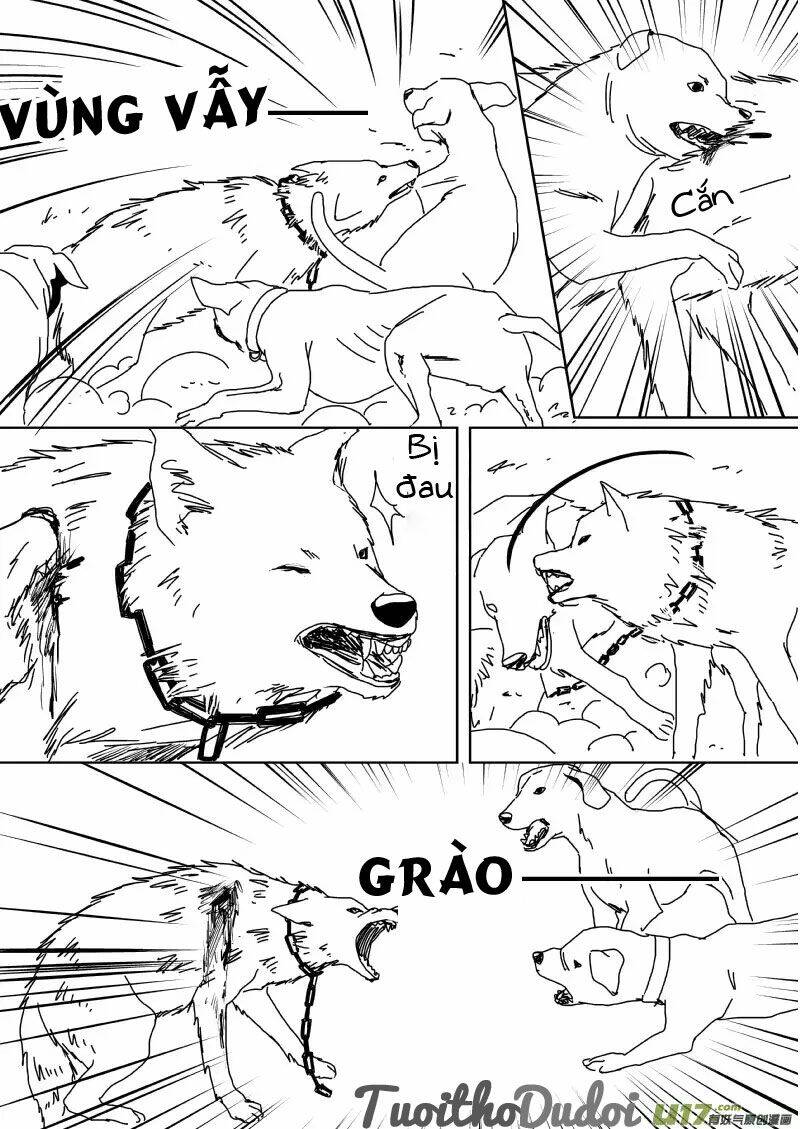 Sự Mê Hoặc Của Sói - Chương 39