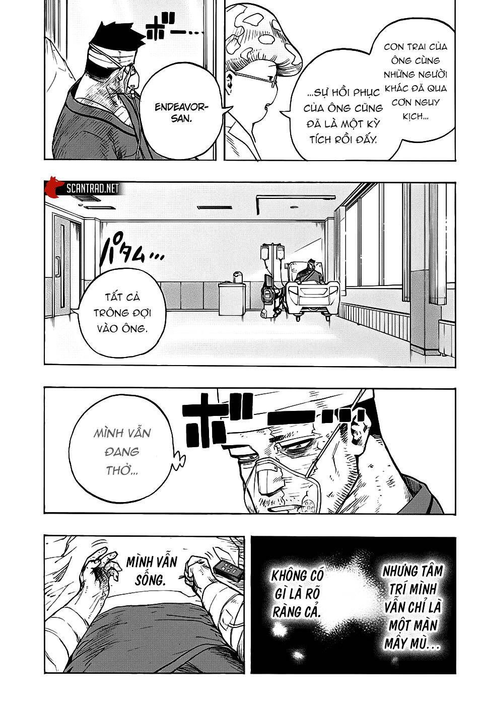 Boku No Hero Academia - Chương 300