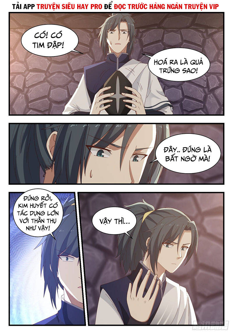 Võ Luyện Đỉnh Phong - Chương 1004