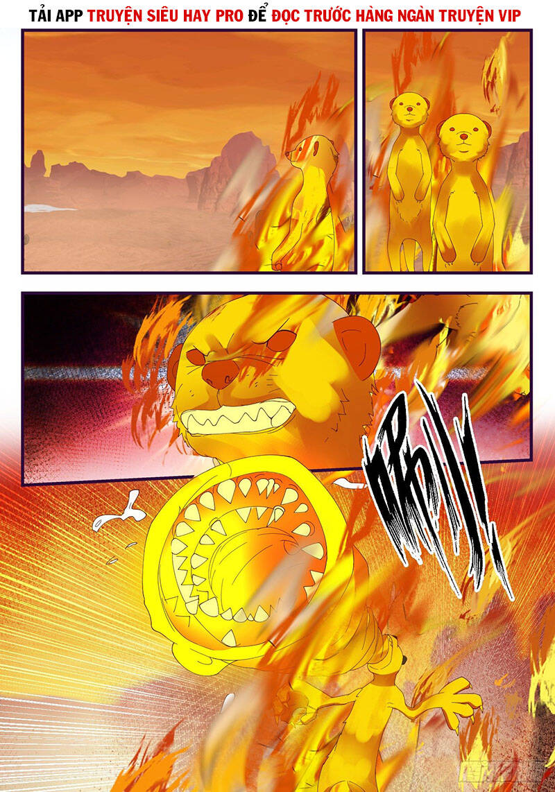 Võ Luyện Đỉnh Phong - Chương 1074