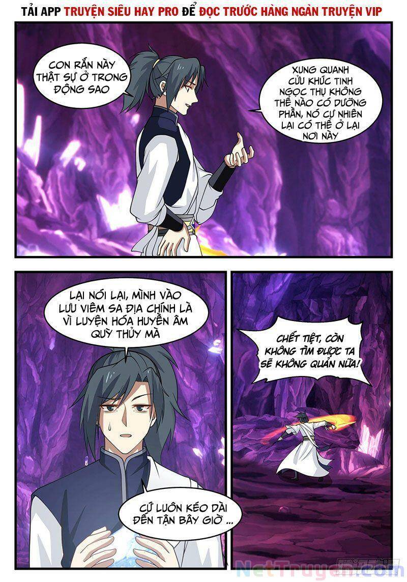 Võ Luyện Đỉnh Phong - Chương 1101
