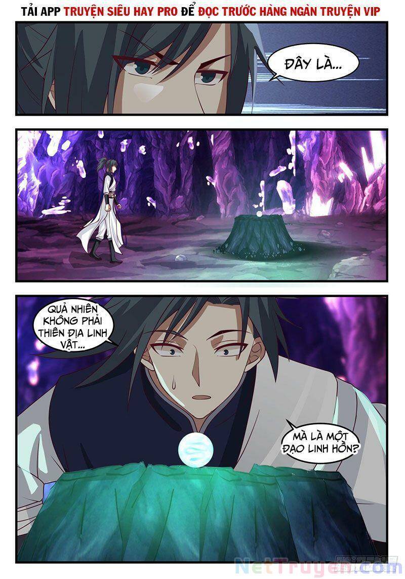 Võ Luyện Đỉnh Phong - Chương 1101