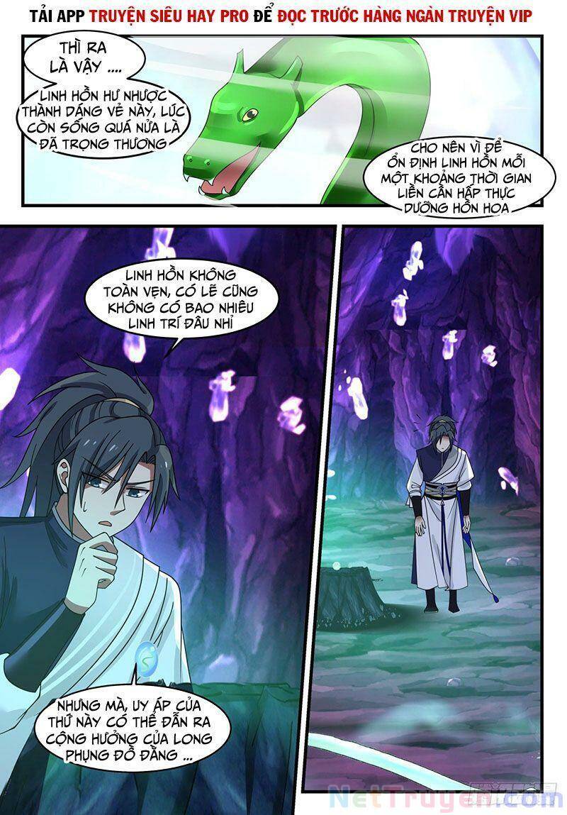 Võ Luyện Đỉnh Phong - Chương 1101