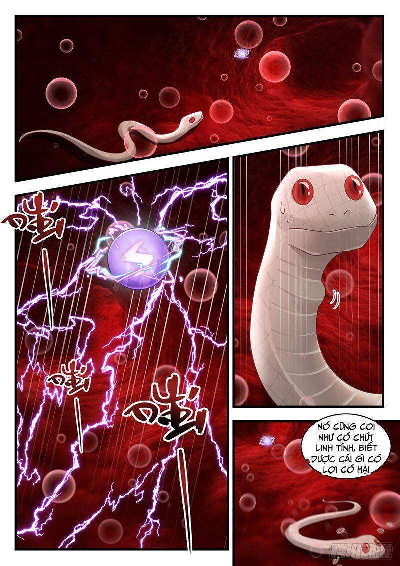 Võ Luyện Đỉnh Phong - Chương 1557