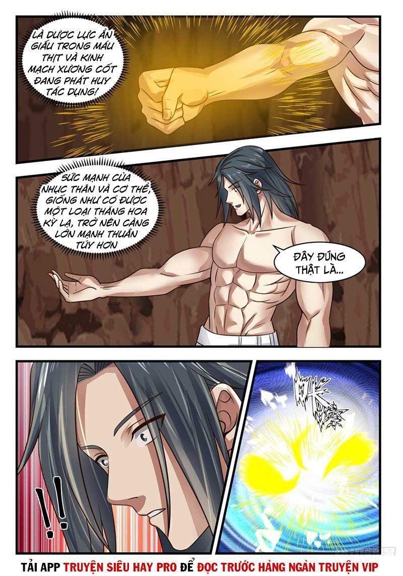 Võ Luyện Đỉnh Phong - Chương 1650