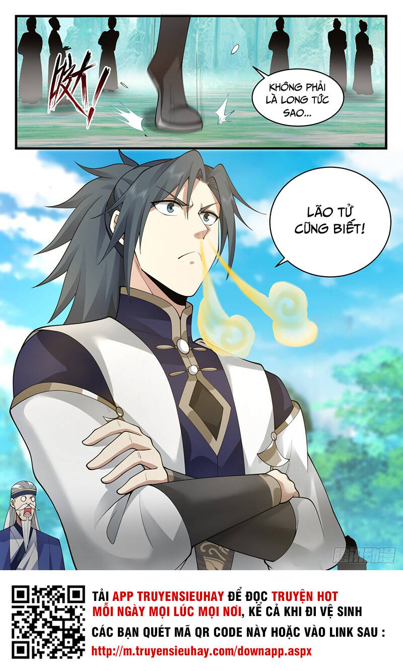 Võ Luyện Đỉnh Phong - Chương 2077