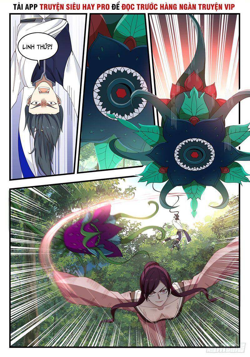 Võ Luyện Đỉnh Phong - Chương 971