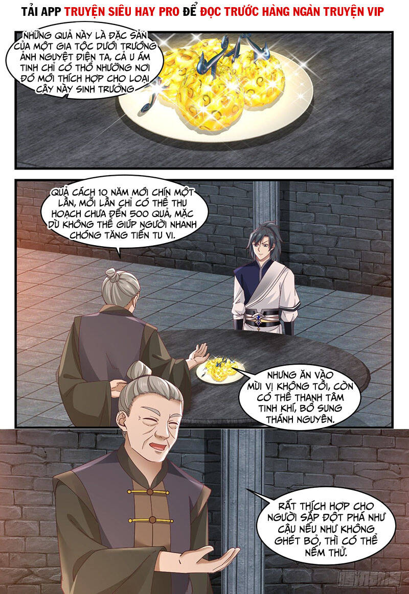 Võ Luyện Đỉnh Phong - Chương 999