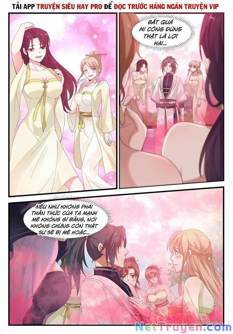 Võ Luyện Đỉnh Phong - Chương 1184