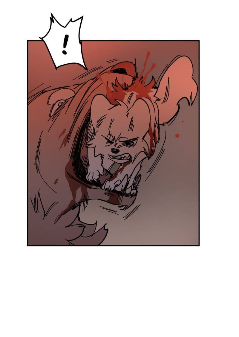 Lumine - Chương 110