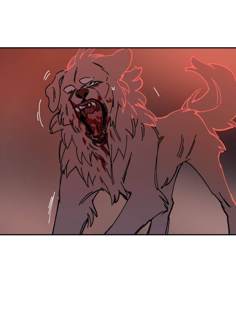 Lumine - Chương 110