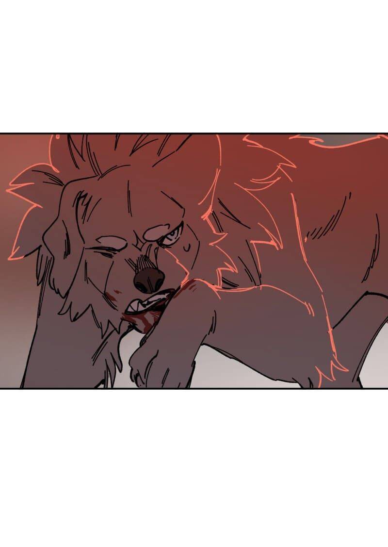 Lumine - Chương 110